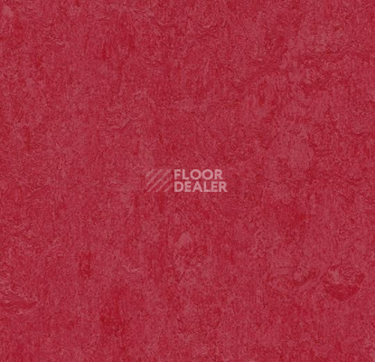 Линолеум Forbo Marmoleum Decibel on Order 327335 ruby фото 1 | FLOORDEALER